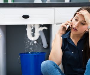 About Plumbers Pros Fremont Center, NY